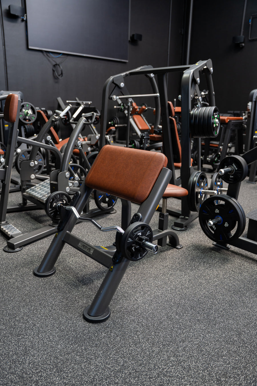 VERVE Preacher Curl Scott Bench (Black) - Makoto Series