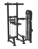 Dip/Chin Assist Loaded Machine | MADE TO ORDER