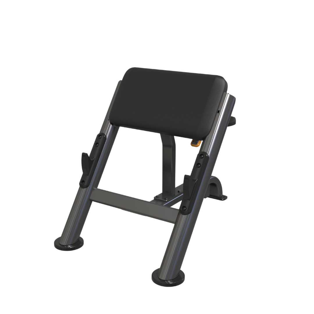 VERVE Preacher Curl Scott Bench (Black) - Makoto Series
