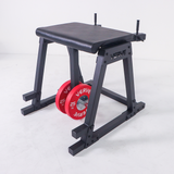 VERVE Reverse Hyperextension