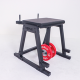 VERVE Reverse Hyperextension