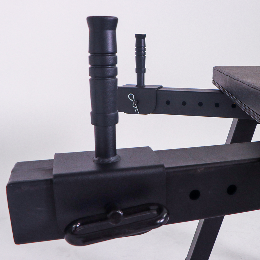 VERVE Reverse Hyperextension