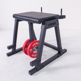 VERVE Reverse Hyperextension