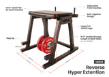 VERVE Reverse Hyperextension