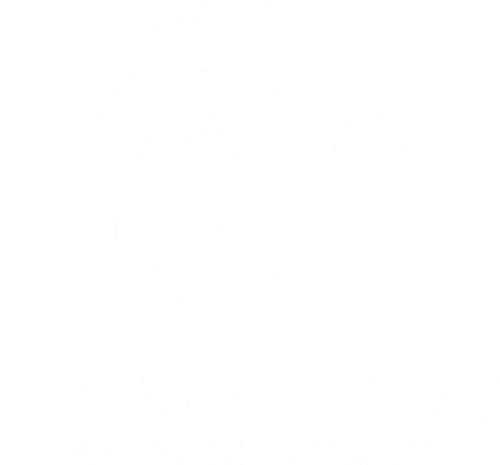 Manly Warringah Sea Eagles