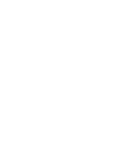 Brisbane Heat