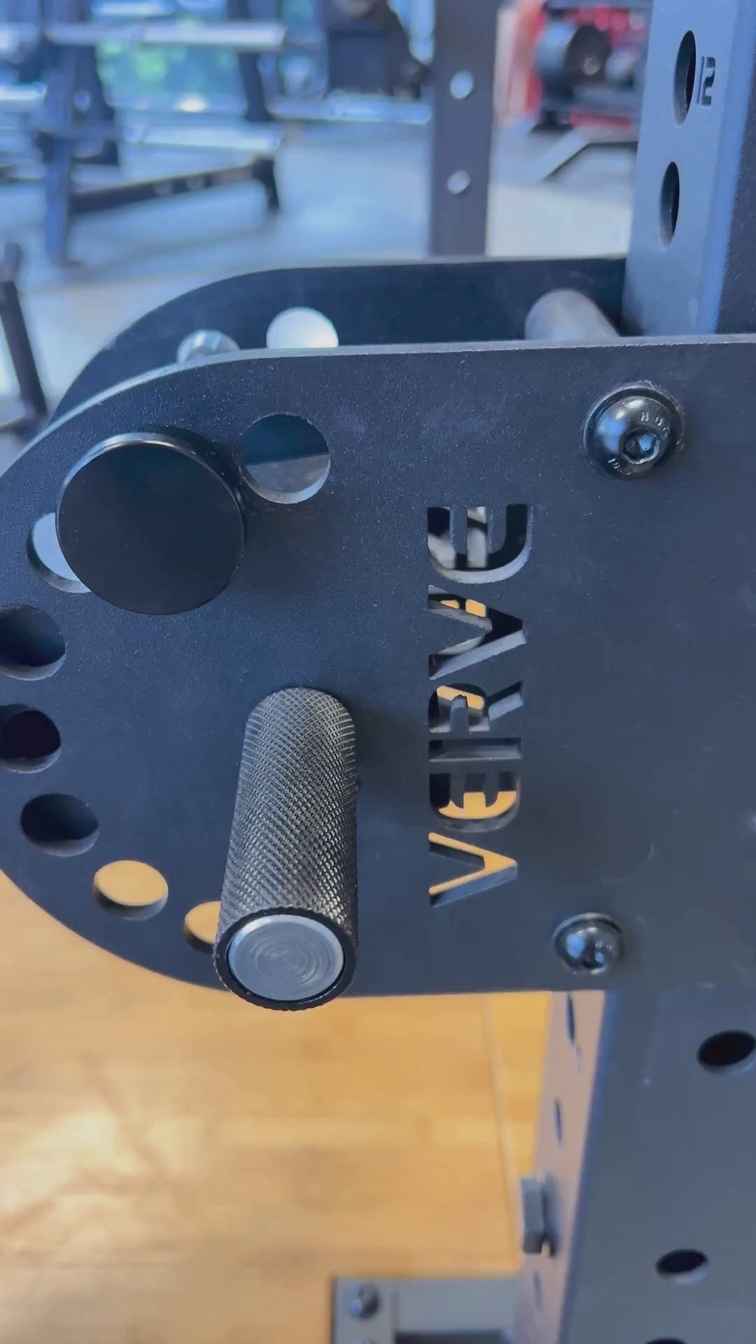 Verve belt squat online