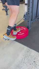 VERVE Ankle Straps (Pair)