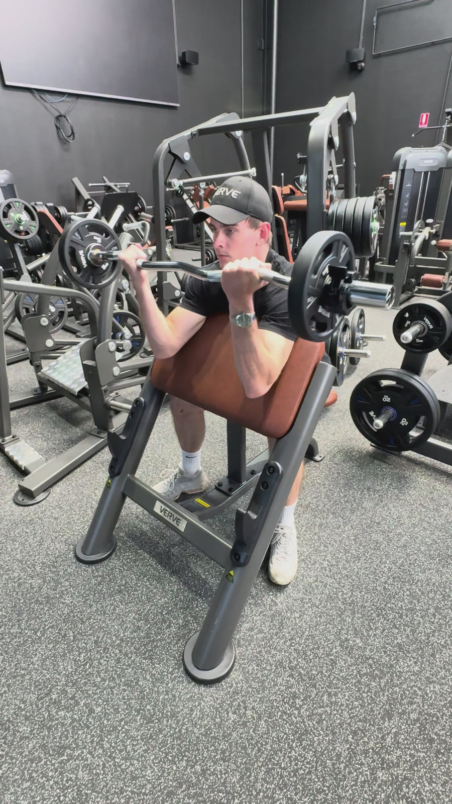 VERVE Preacher Curl Scott Bench (Brown) - Makoto Series | MADE TO ORDER