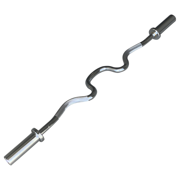Golds gym combo curl bar sale