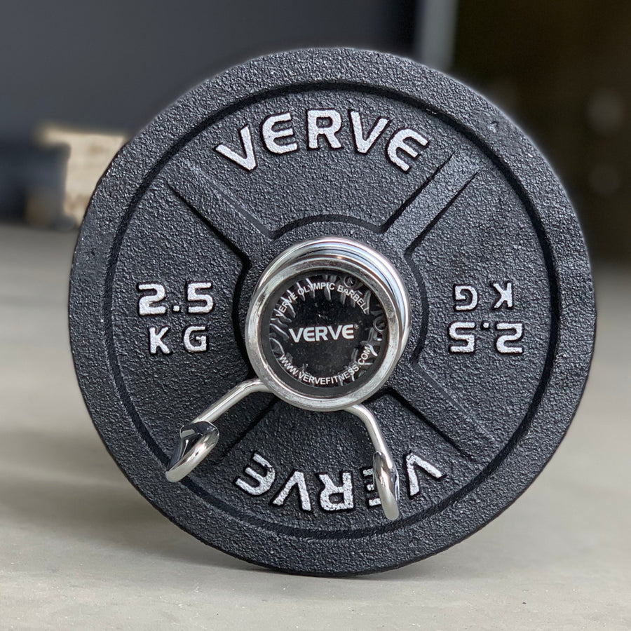 Olympic Dumbbell Handles with Bushings (Pair of 2)