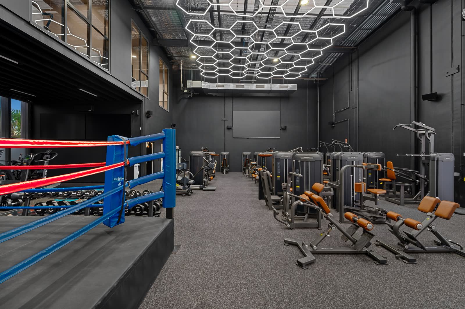 A row of pin-loaded Makoto machines beside the boxing ring, two hyperextension benches in front
